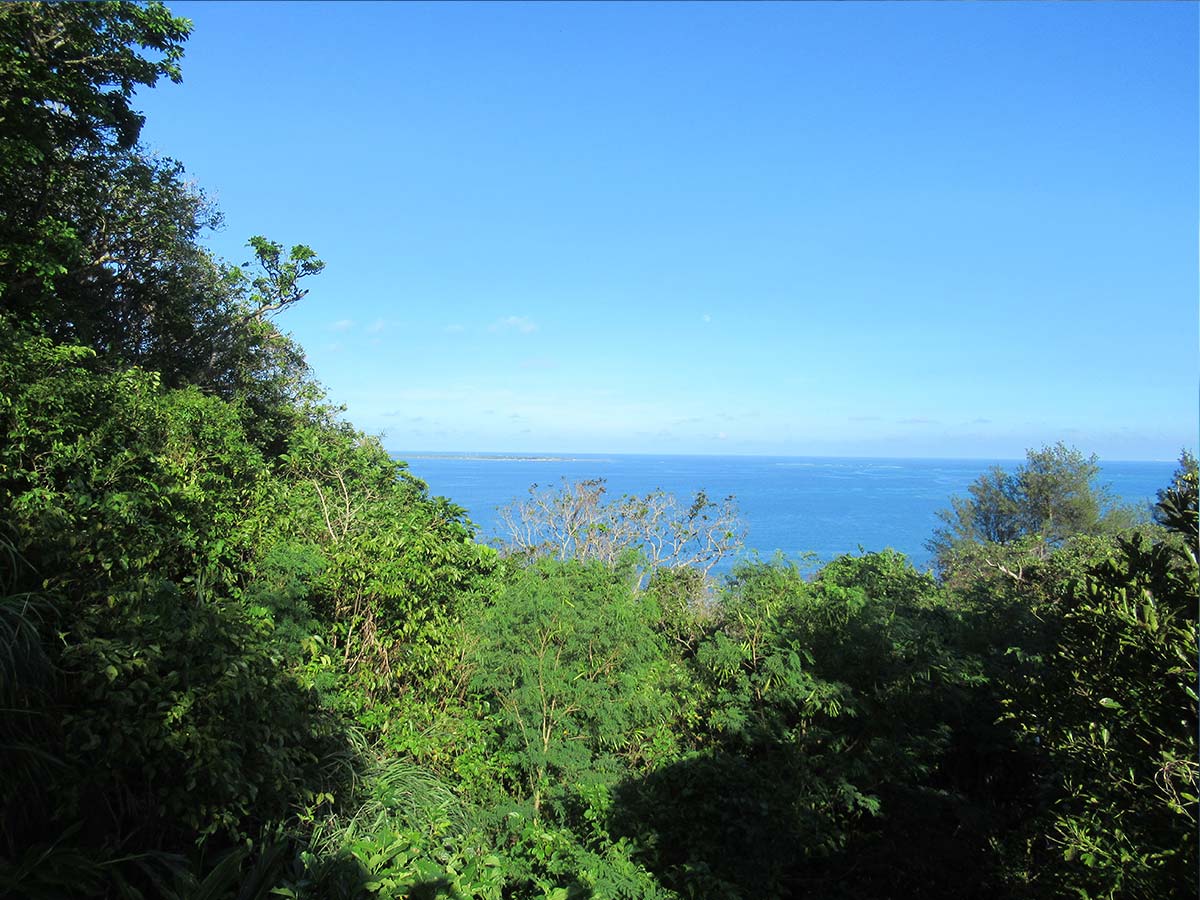 せーふぁ御嶽の上から海と久高島が見える